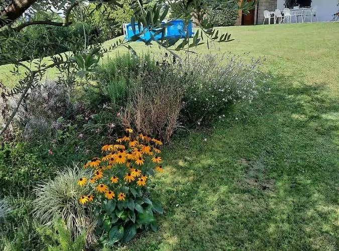 Ines ヴェルバーニア